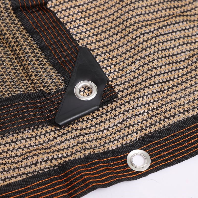 product-800-800 product-800-800